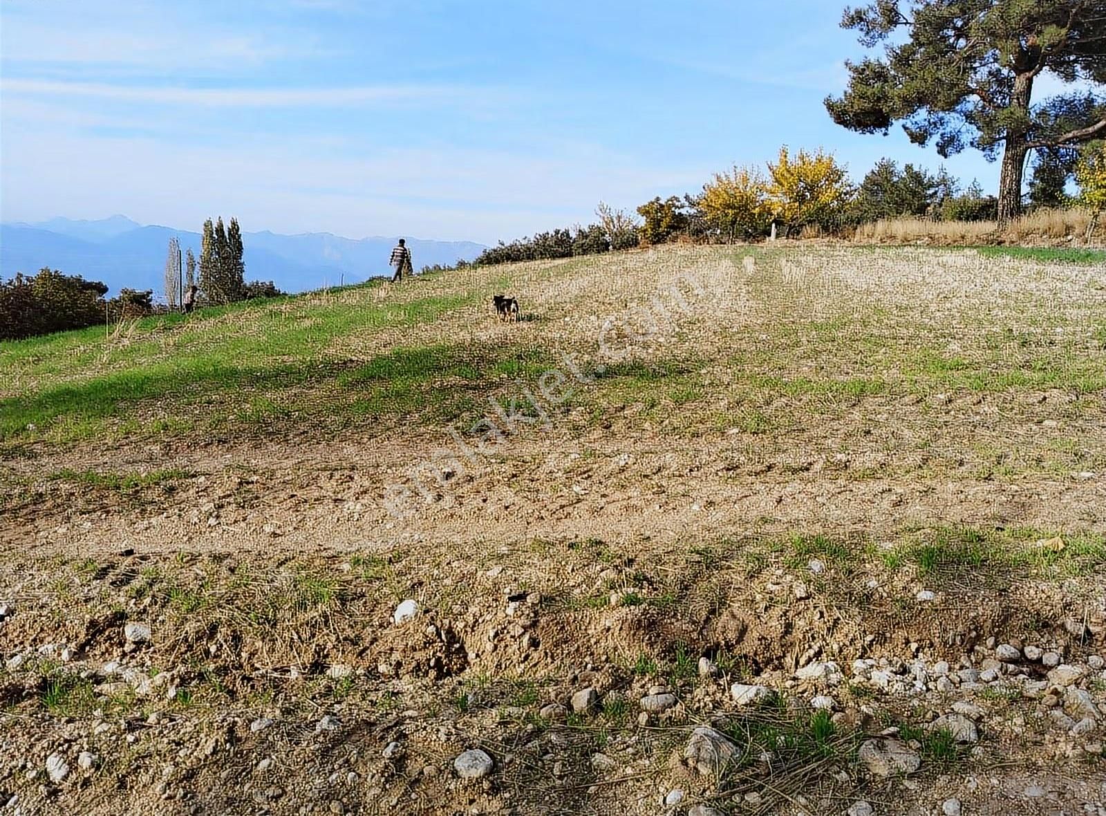 Yakaköyde 2.110 M² Fırsat Arsa Satılıktır ( Mükemmel Konum Da ) - Görsel 28