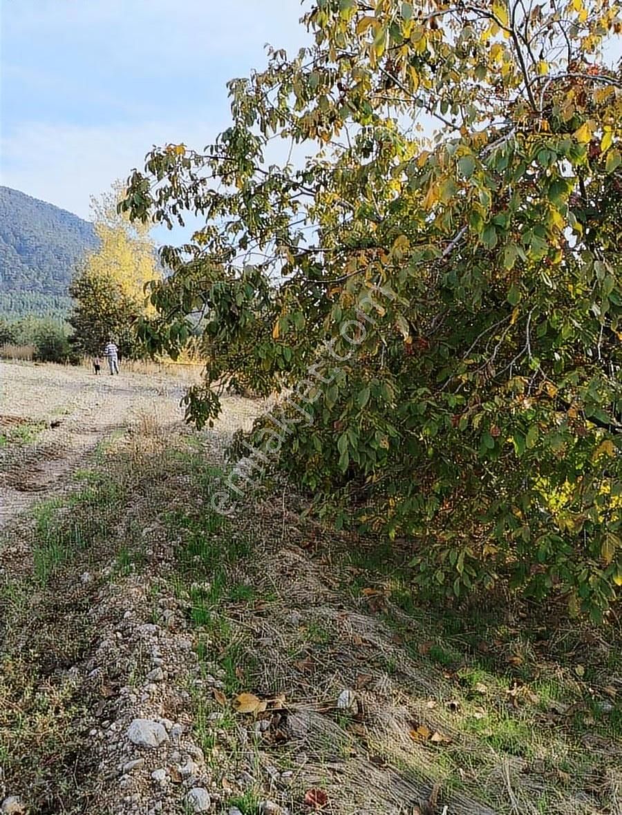 Yakaköyde 2.110 M² Fırsat Arsa Satılıktır ( Mükemmel Konum Da ) - Görsel 27