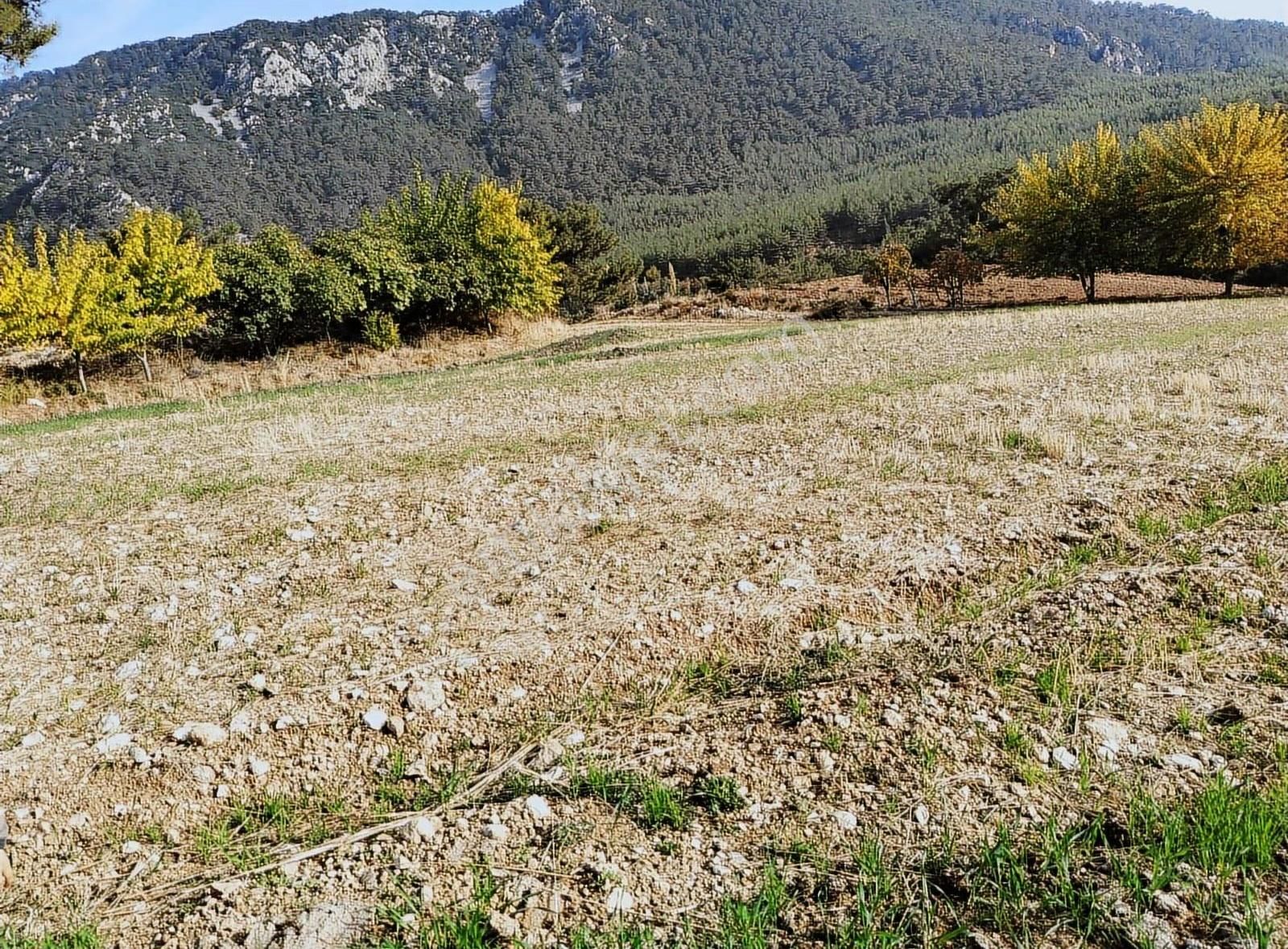 Yakaköyde 2.110 M² Fırsat Arsa Satılıktır ( Mükemmel Konum Da ) - Görsel 2