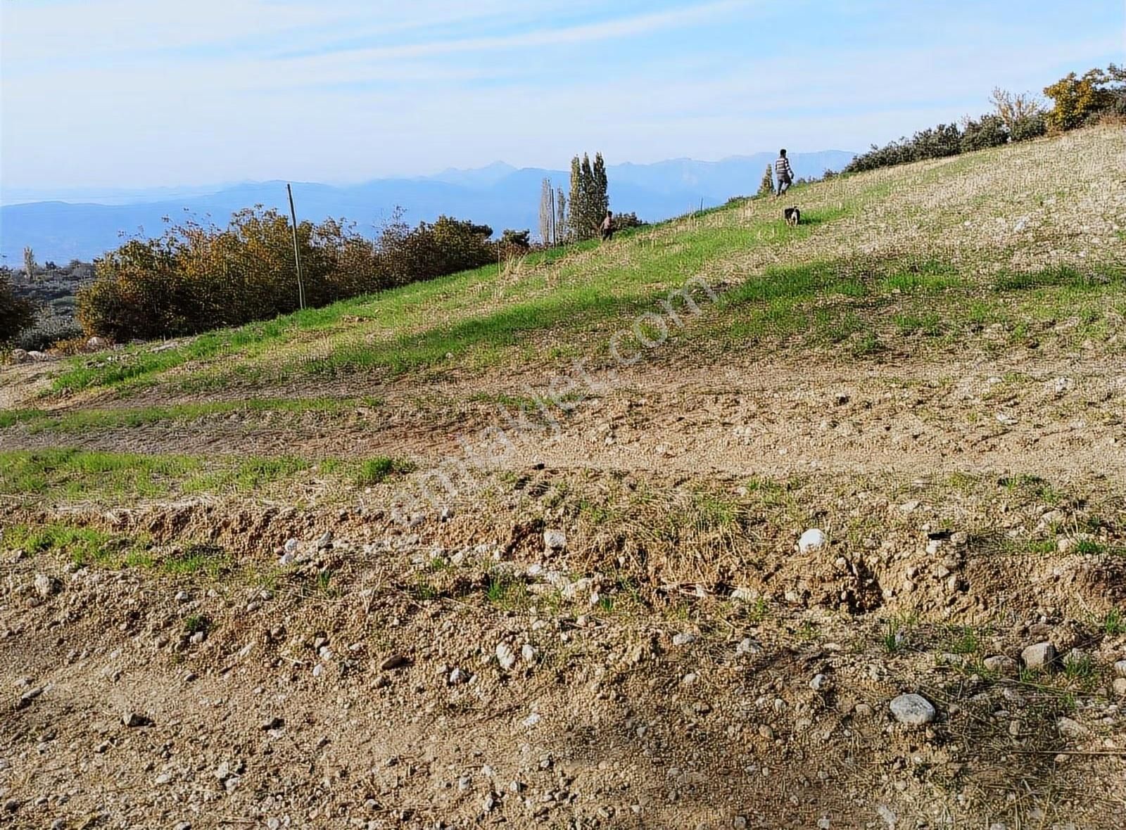 Yakaköyde 2.110 M² Fırsat Arsa Satılıktır ( Mükemmel Konum Da ) - Görsel 23