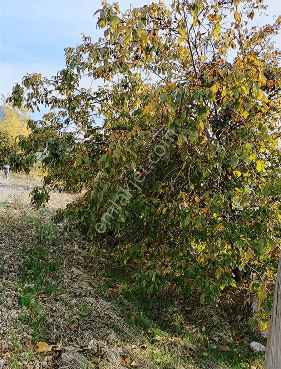 Yakaköyde 2.110 M² Fırsat Arsa Satılıktır ( Mükemmel Konum Da ) - Görsel 5