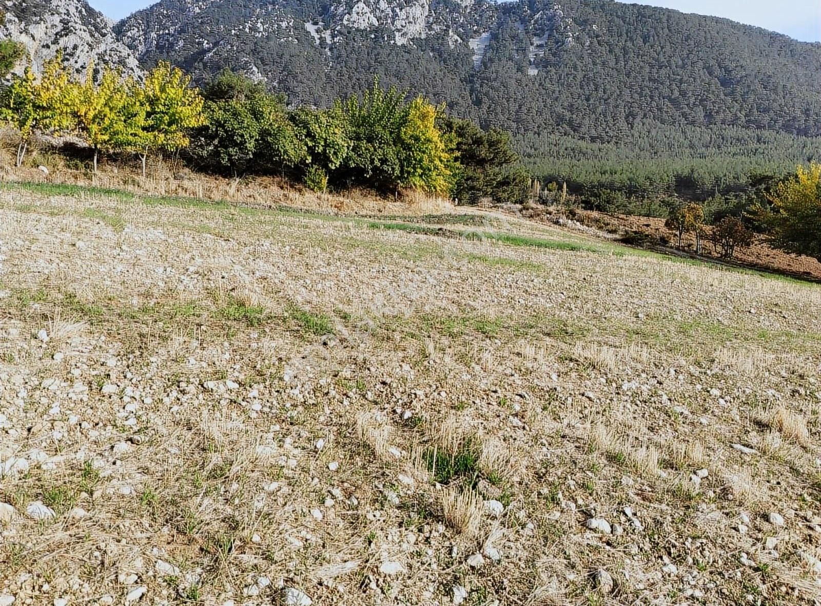 Yakaköyde 2.110 M² Fırsat Arsa Satılıktır ( Mükemmel Konum Da ) - Görsel 26