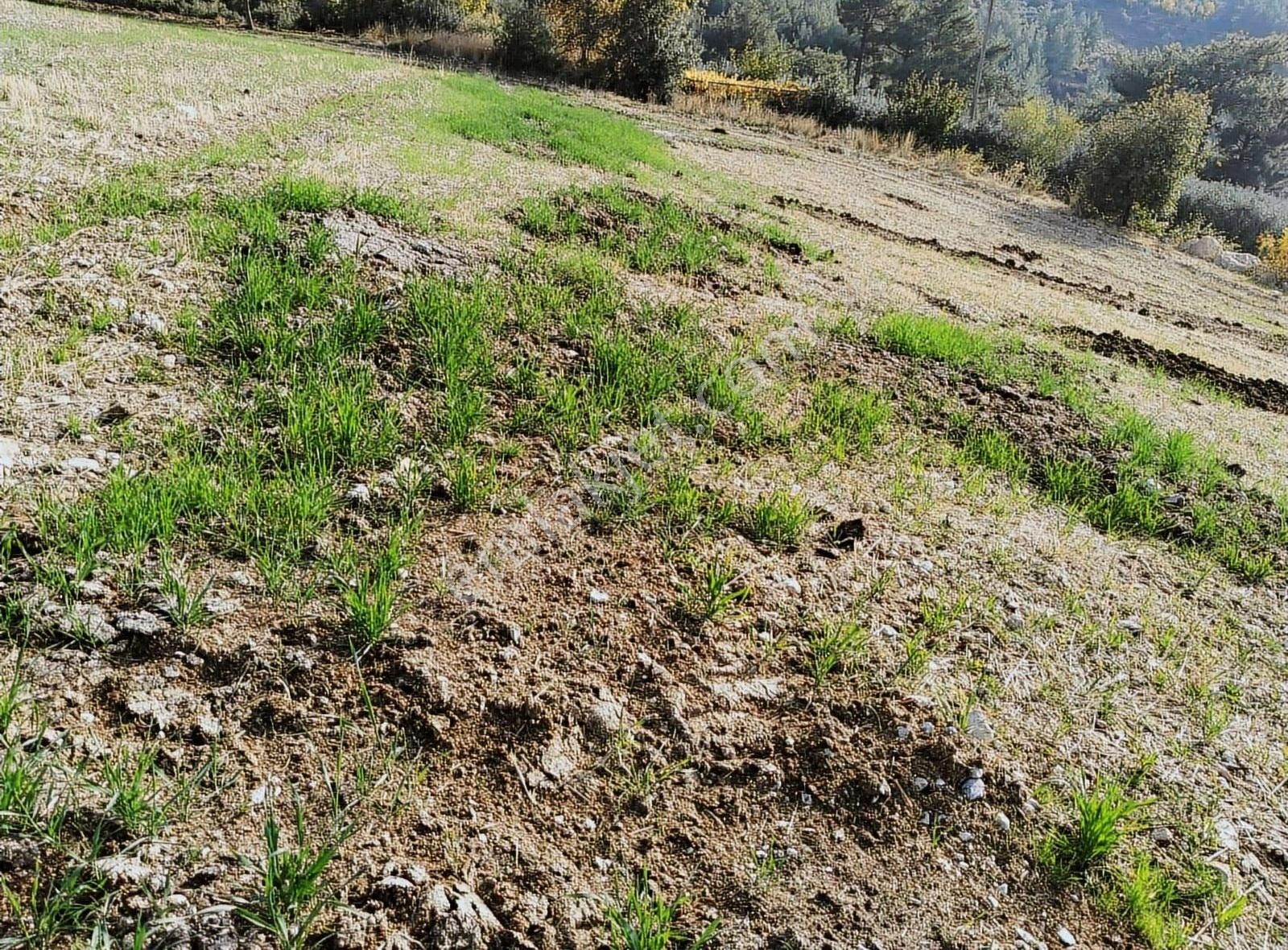 Yakaköyde 2.110 M² Fırsat Arsa Satılıktır ( Mükemmel Konum Da ) - Görsel 3