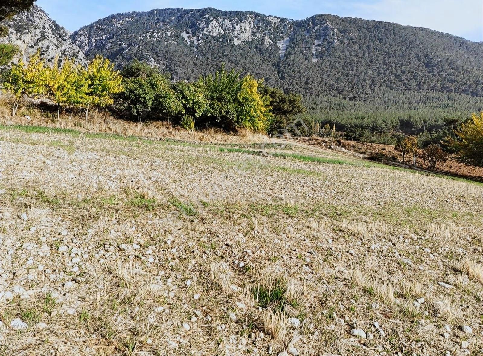 Yakaköyde 2.110 M² Fırsat Arsa Satılıktır ( Mükemmel Konum Da ) - Görsel 6