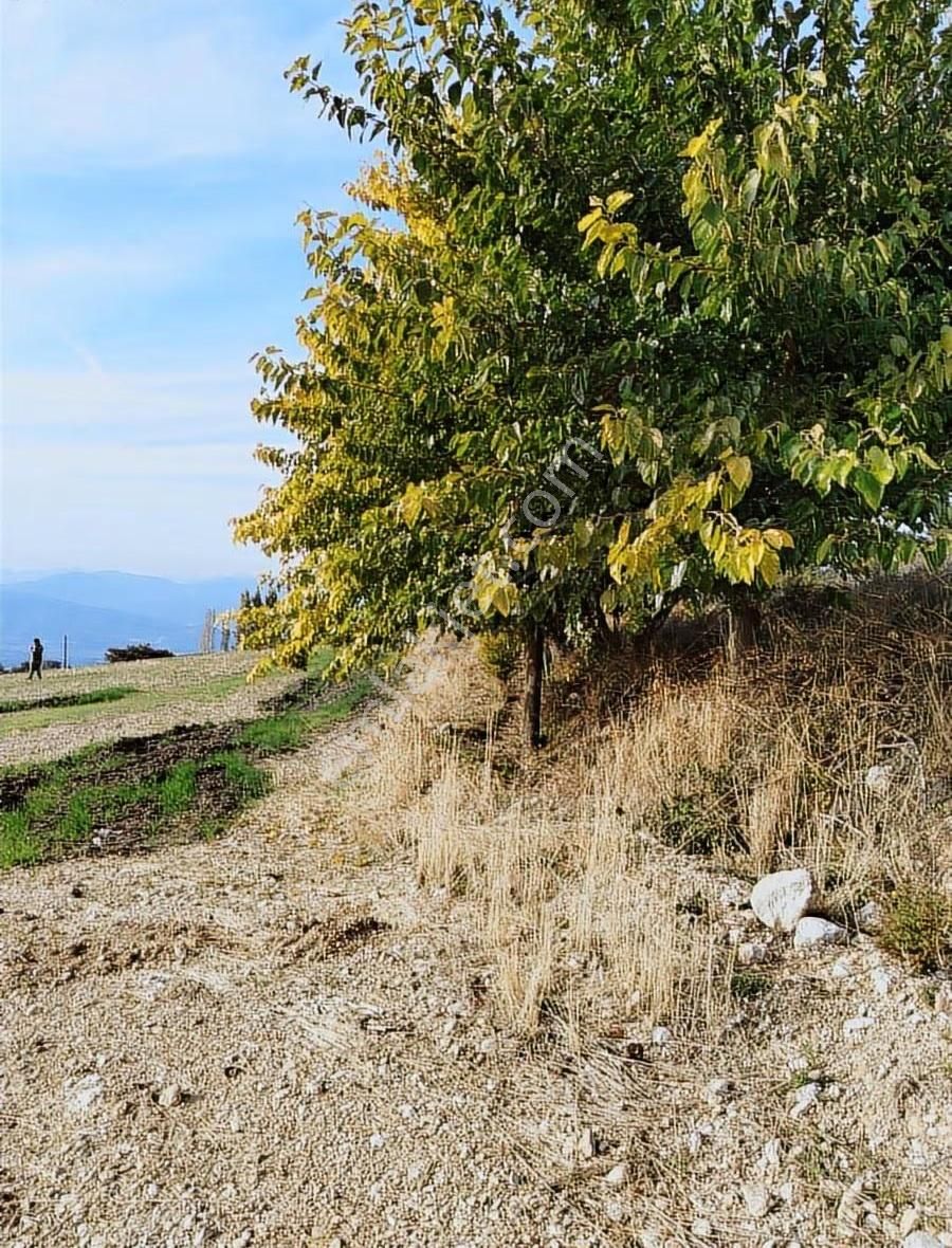 Yakaköyde 2.110 M² Fırsat Arsa Satılıktır ( Mükemmel Konum Da ) - Görsel 10