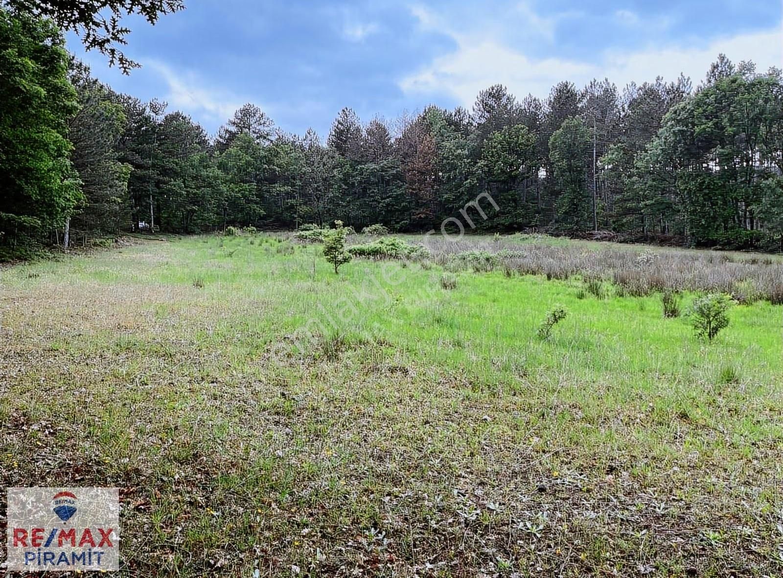 Çanakkale Yenice Aşağıçavuş Köyü 4955 M2 Satılık Parsel - Görsel 13