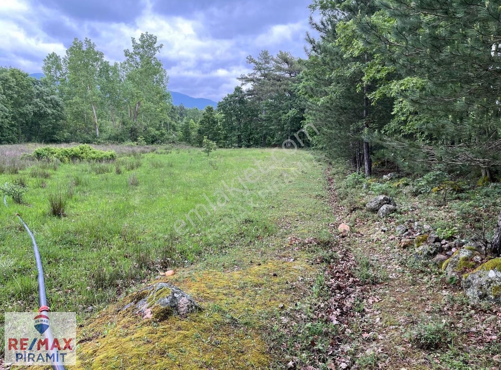 Çanakkale Yenice Aşağıçavuş Köyü 4955 M2 Satılık Parsel - Görsel 17