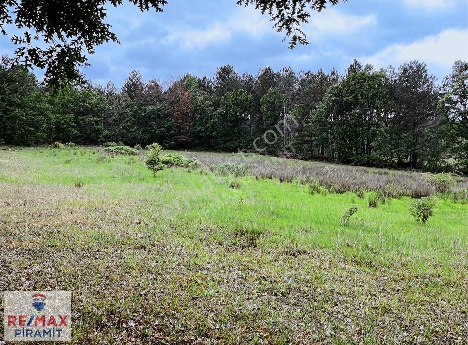 Çanakkale Yenice Aşağıçavuş Köyü 4955 M2 Satılık Parsel - Görsel 23