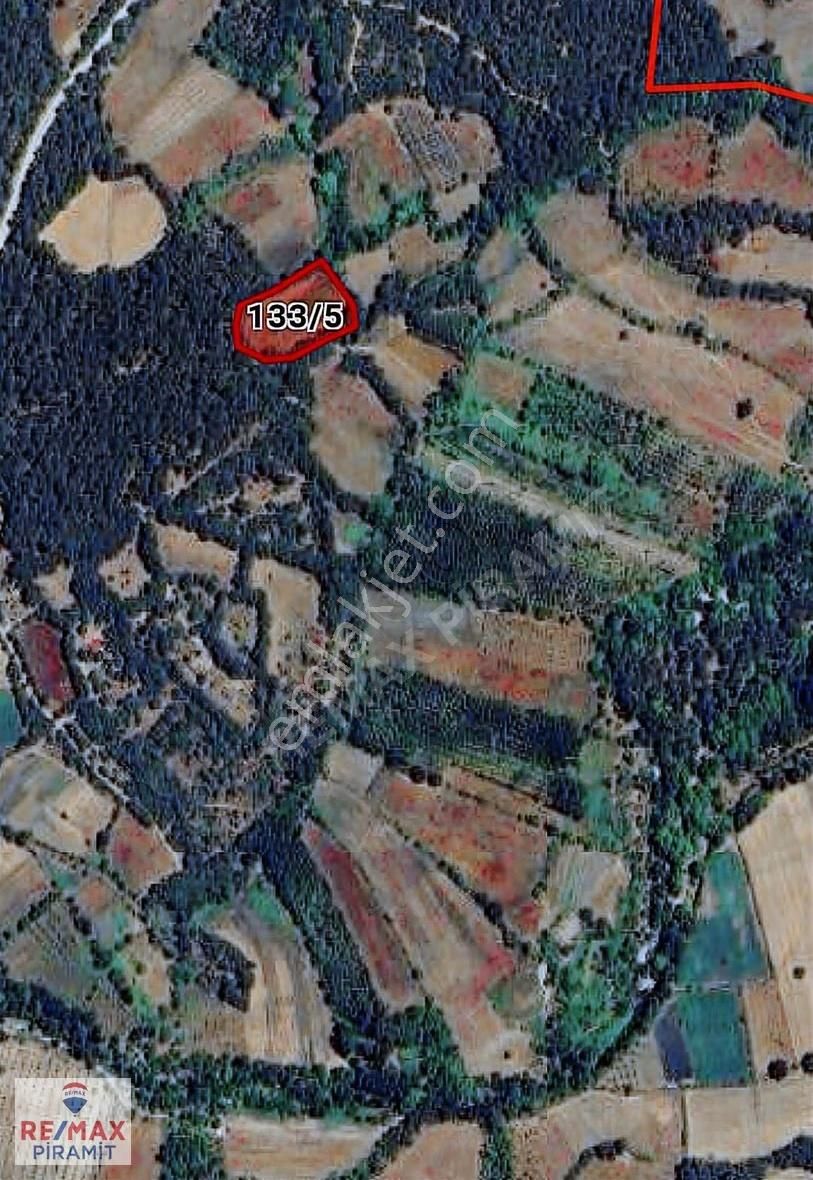 Çanakkale Yenice Aşağıçavuş Köyü 4955 M2 Satılık Parsel - Görsel 18