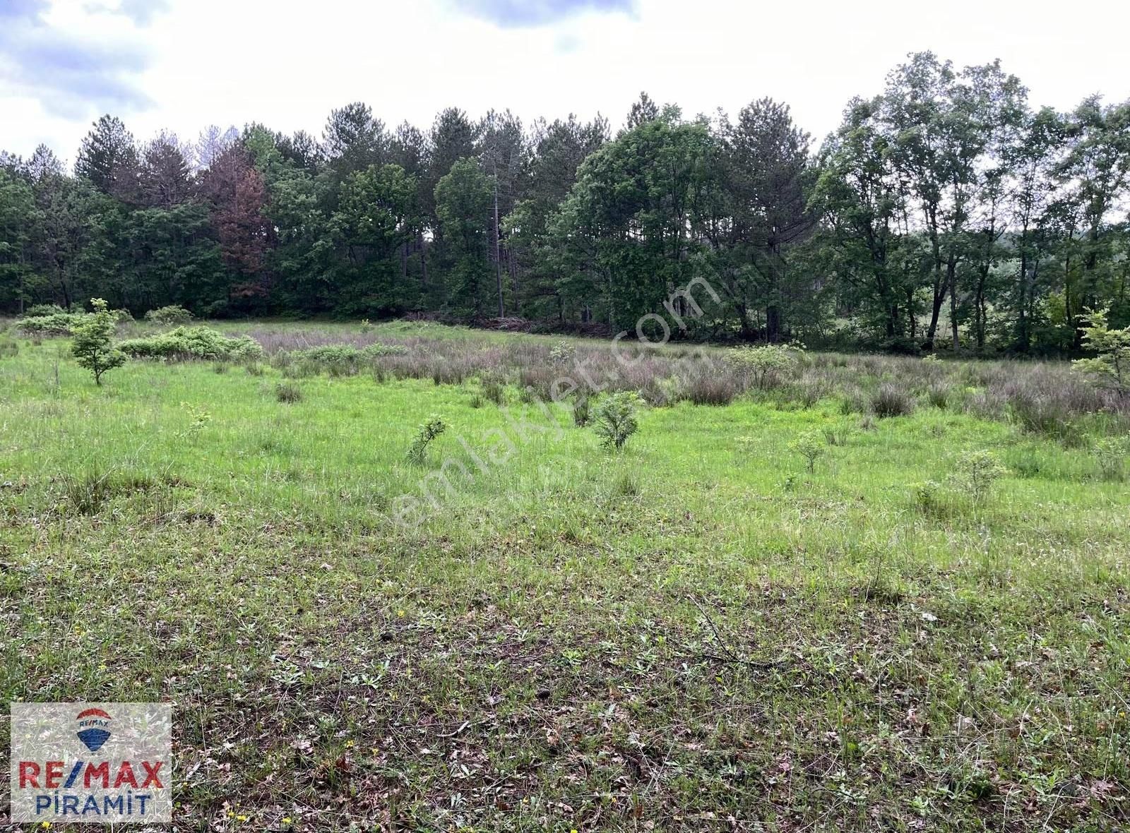 Çanakkale Yenice Aşağıçavuş Köyü 4955 M2 Satılık Parsel - Görsel 19