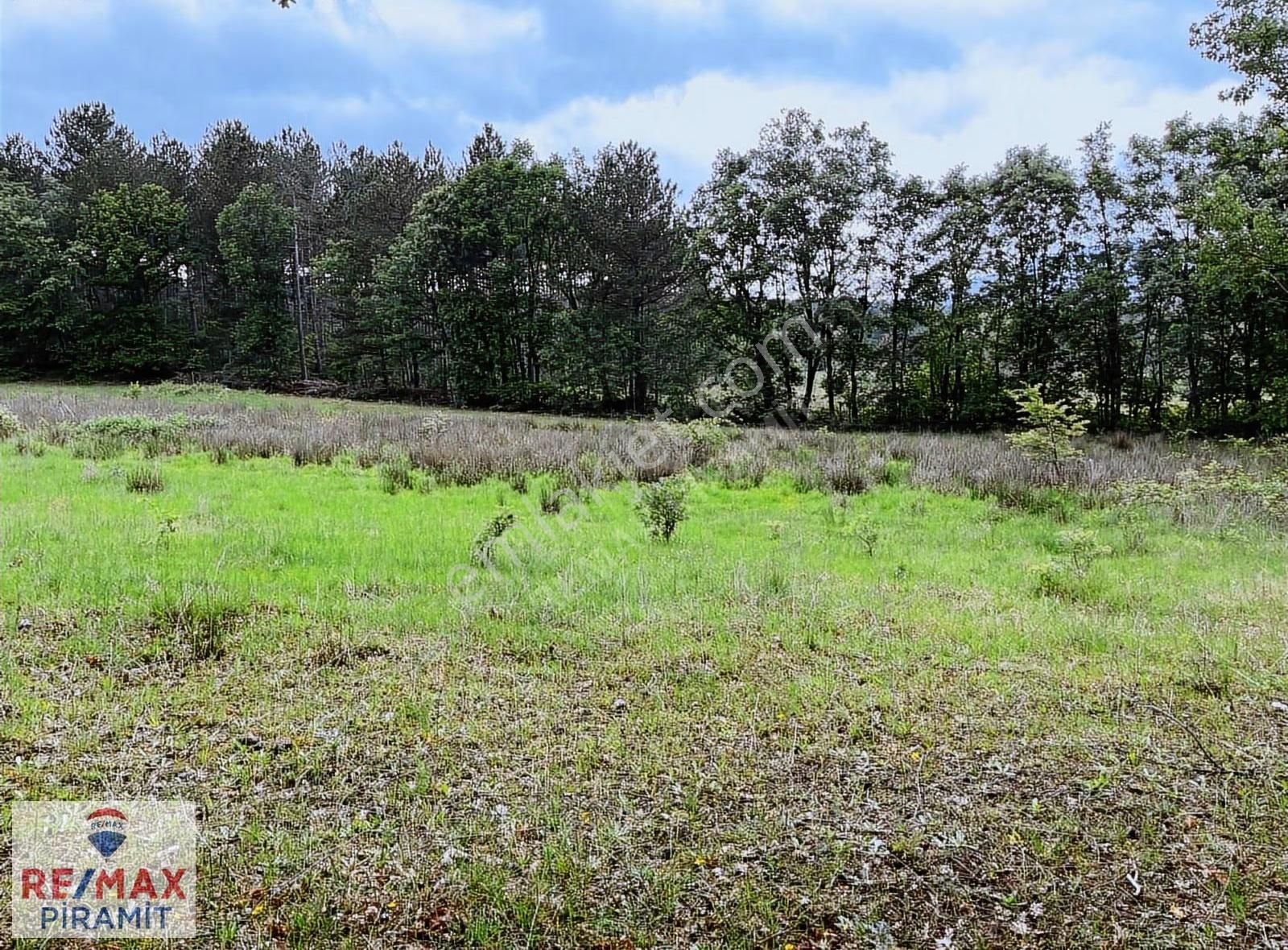 Çanakkale Yenice Aşağıçavuş Köyü 4955 M2 Satılık Parsel - Görsel 7