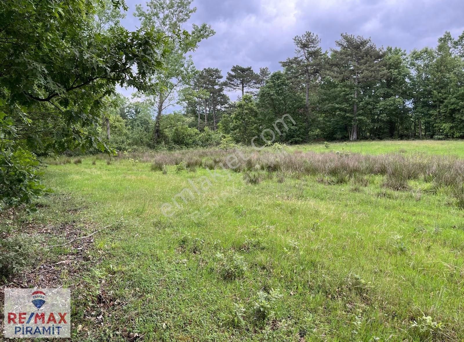 Çanakkale Yenice Aşağıçavuş Köyü 4955 M2 Satılık Parsel - Görsel 12