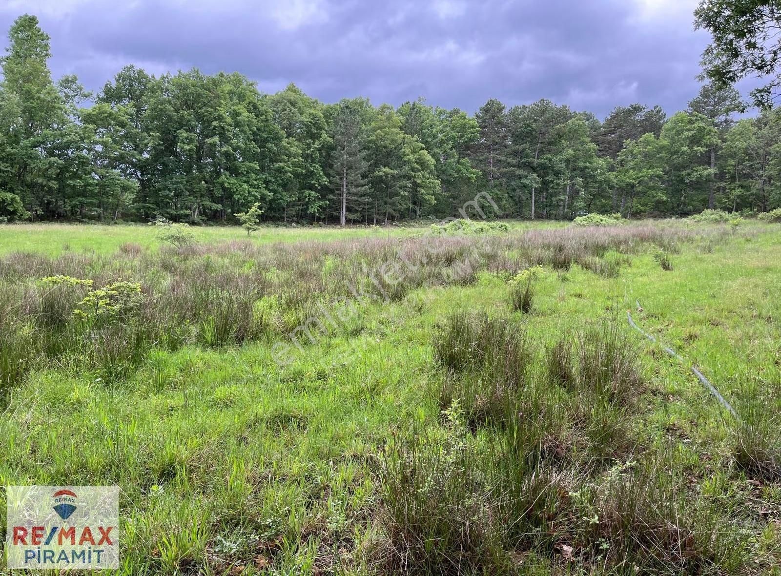 Çanakkale Yenice Aşağıçavuş Köyü 4955 M2 Satılık Parsel - Görsel 25