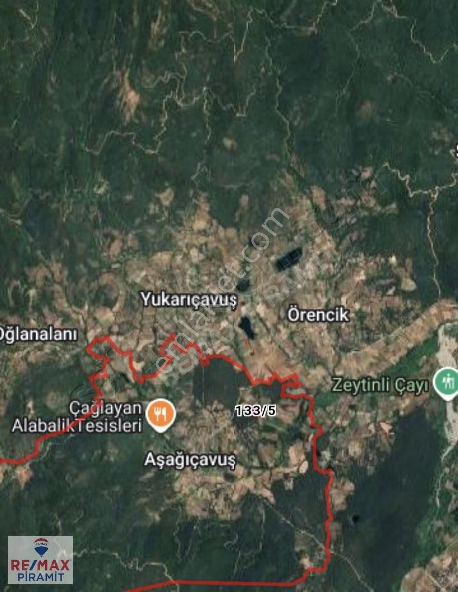 Çanakkale Yenice Aşağıçavuş Köyü 4955 M2 Satılık Parsel - Görsel 9