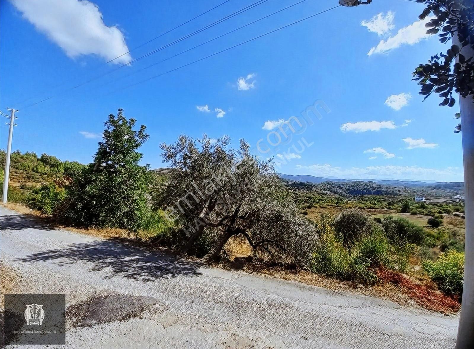Köy İçi Eşsiz Manzara Önü Kapanmaz Yol Su Elektrik Tek Tapu - Görsel 6