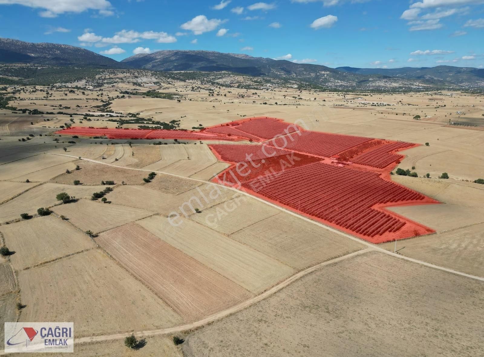 Çağrı Emlak'tan Korkuteli/yelten' De Üzüm Bağı - Görsel 19