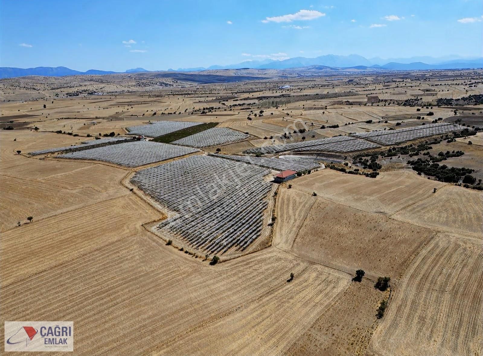Çağrı Emlak'tan Korkuteli/yelten' De Üzüm Bağı - Görsel 18