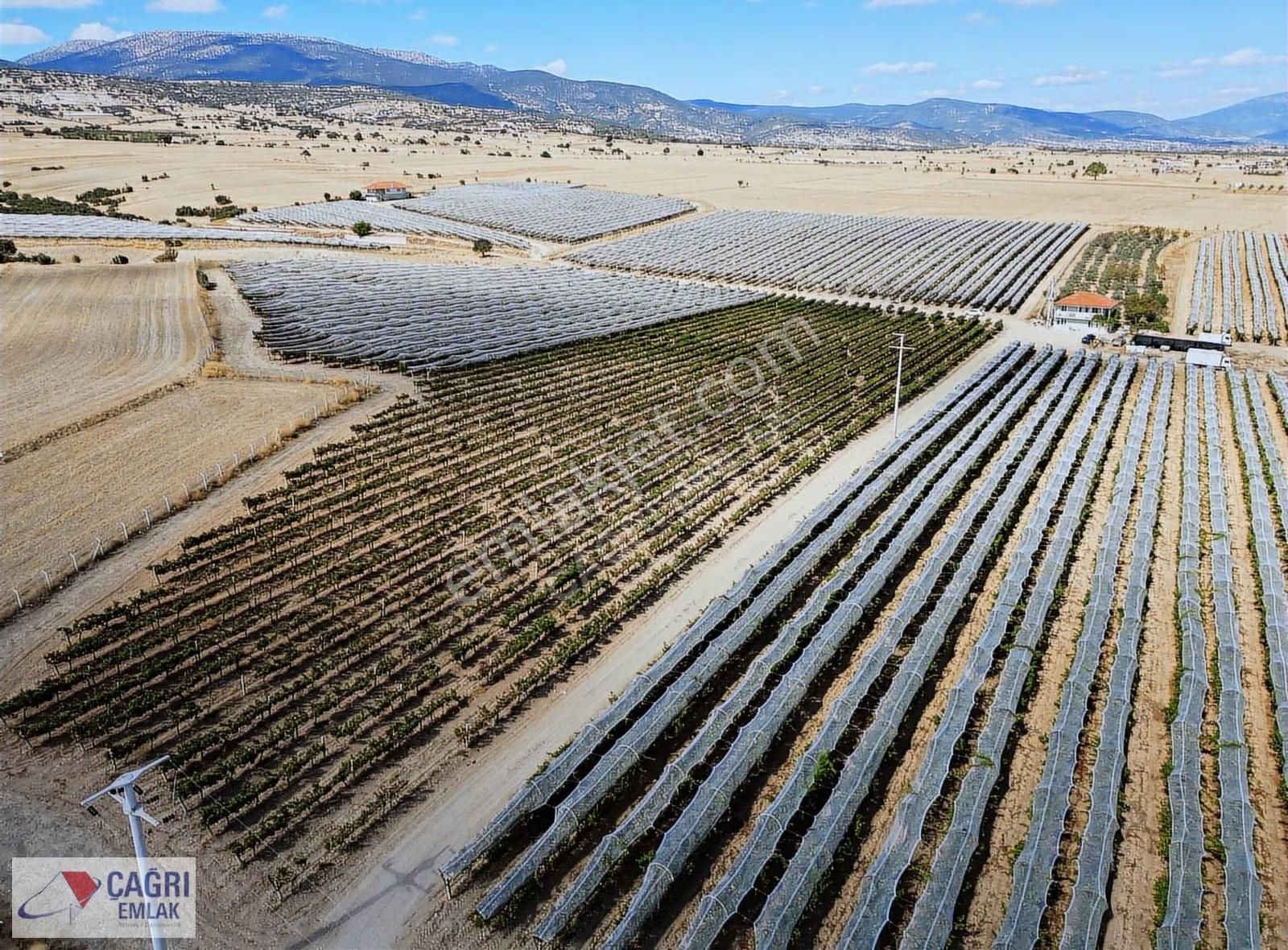Çağrı Emlak'tan Korkuteli/yelten' De Üzüm Bağı - Görsel 20