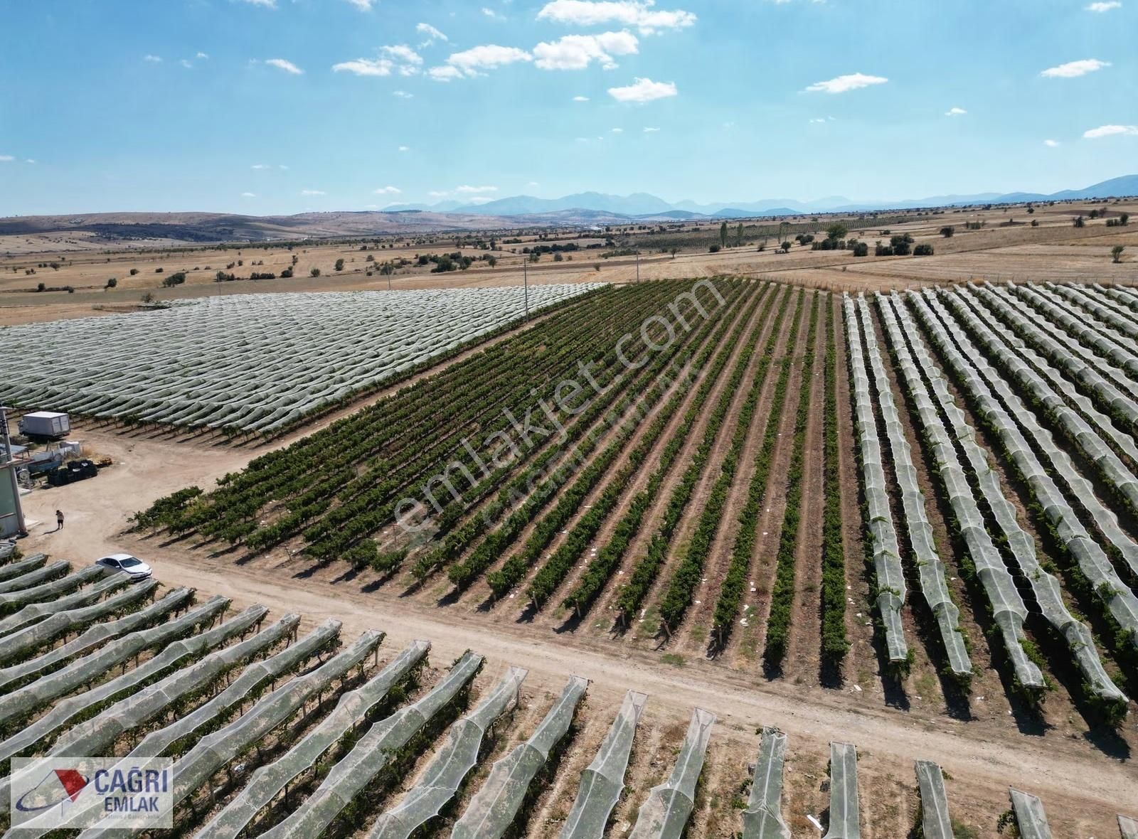 Çağrı Emlak'tan Korkuteli/yelten' De Üzüm Bağı - Görsel 12