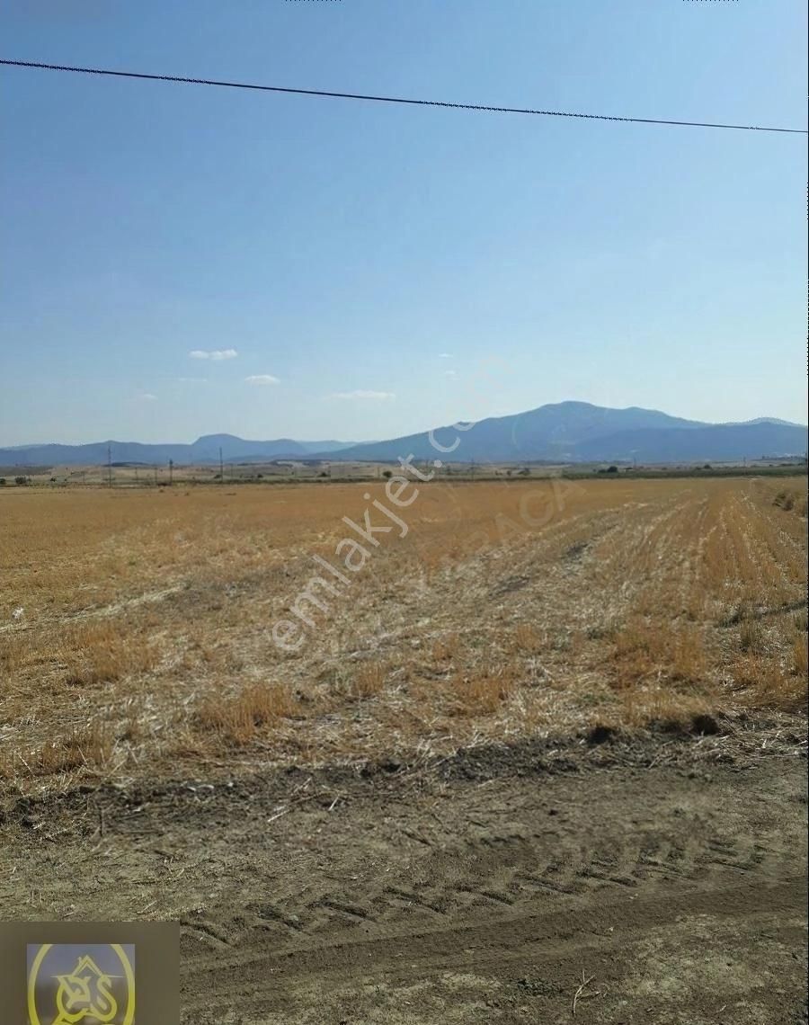 Bozkurt Başçeşme Mahallesinde Anayola Sıfır Yatırmlık Tarla..