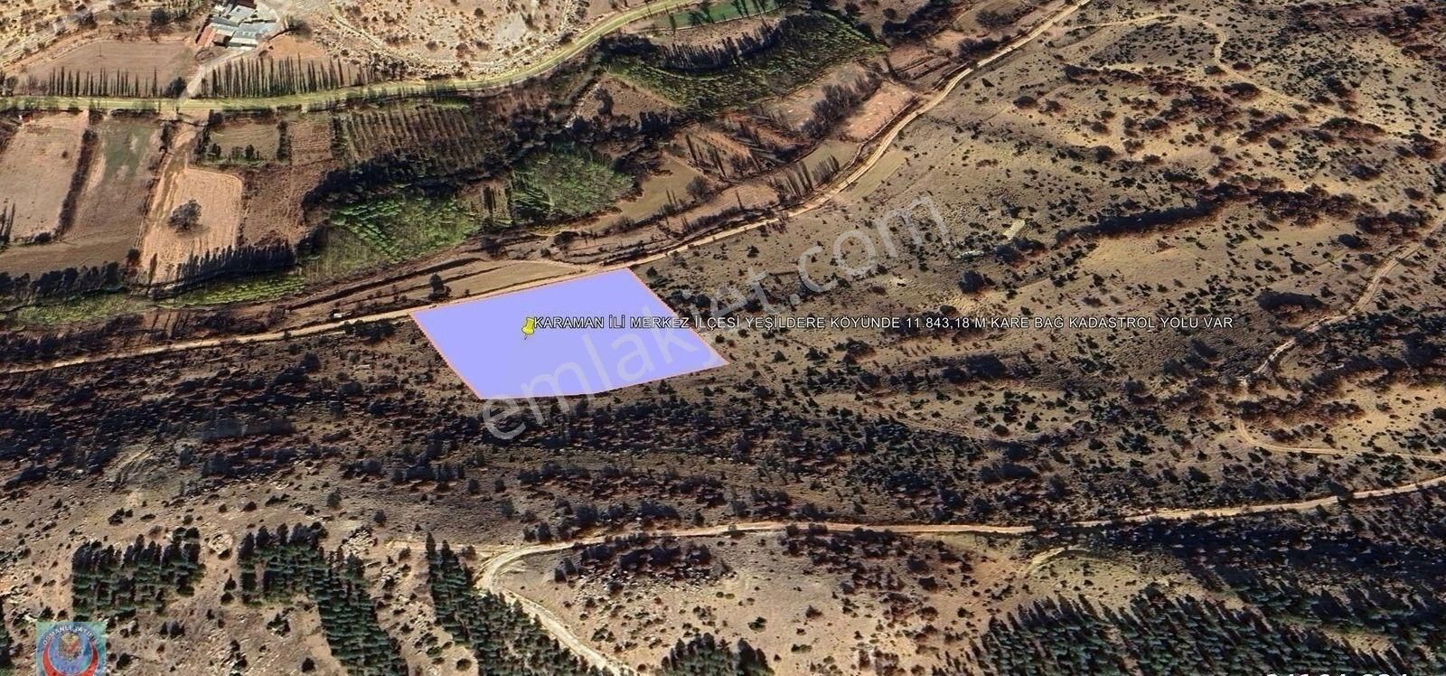 Karaman İli Merkez İlçesi Yeşildere Köyünde 11.843,18 M Kare Bağ Kadastrol Yolu Var - Görsel 2