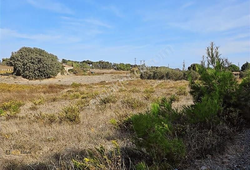 Bozcaada Cumhuriyet Mh - Tek Tapu - Denize 850m Mesafede - Ağaçlar İçerisinde Tam Karavanlık - Görsel 2