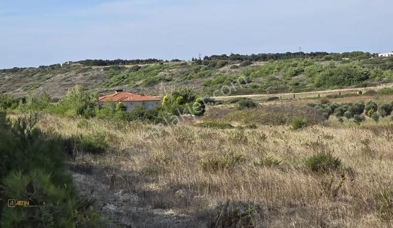 Bozcaada Cumhuriyet Mh - Tek Tapu - Denize 850m Mesafede - Ağaçlar İçerisinde Tam Karavanlık - Görsel 7