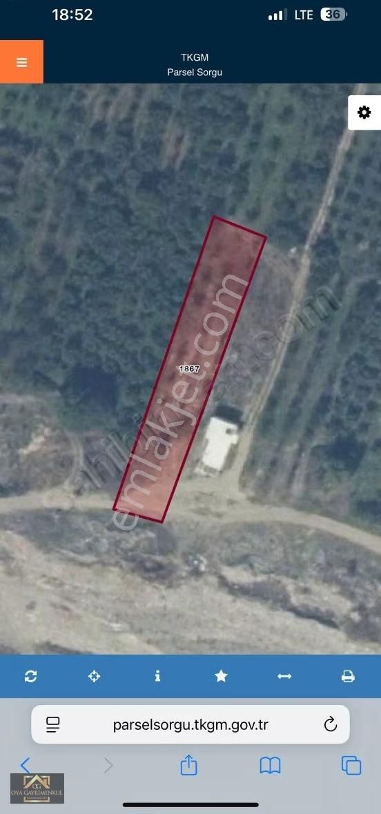 Sakarya Geyve Doğantepe'de Satılık 1.095 M2 Tarla - Görsel 4