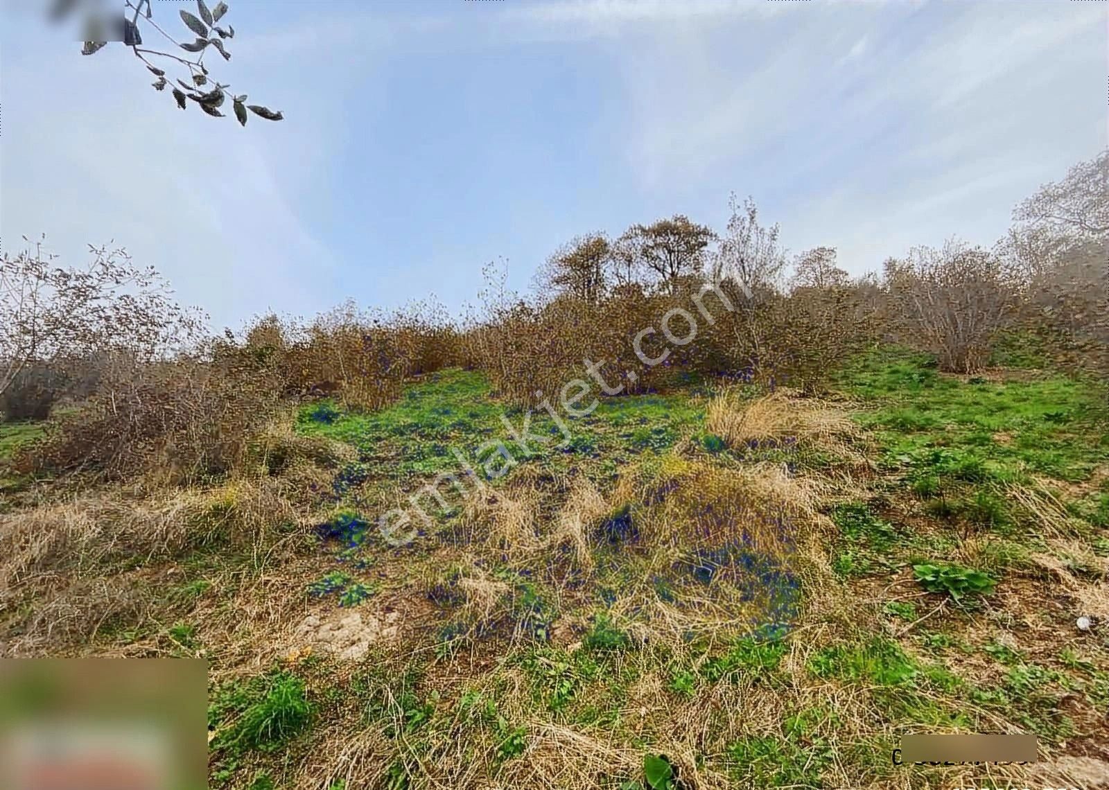 Atakum Kayagüneyde Satılık 6 Dönüm Tarla - Görsel 9