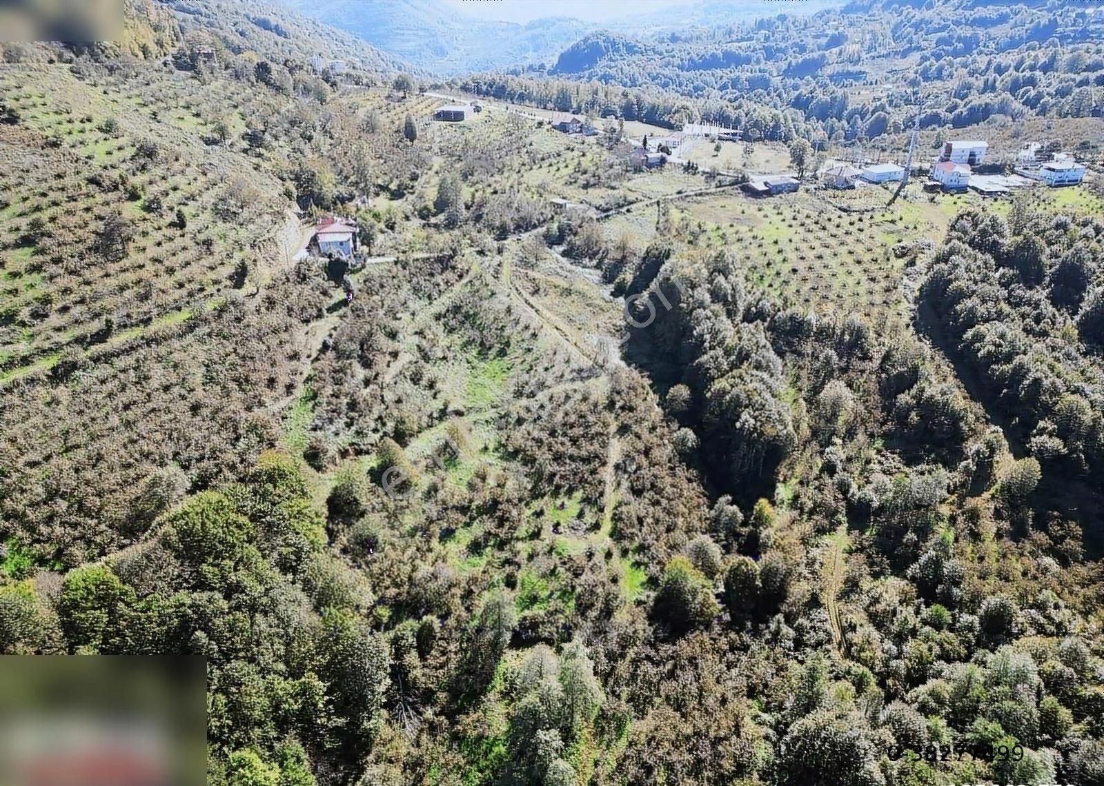 Atakum Kayagüneyde Satılık 6 Dönüm Tarla - Görsel 3