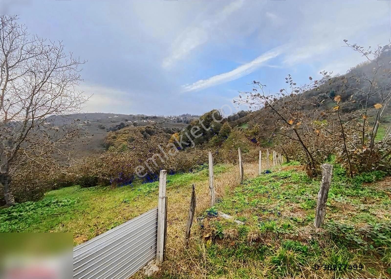 Atakum Kayagüneyde Satılık 6 Dönüm Tarla - Görsel 2