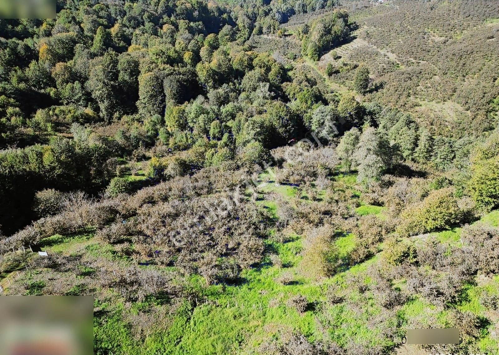 Atakum Kayagüneyde Satılık 6 Dönüm Tarla - Görsel 7