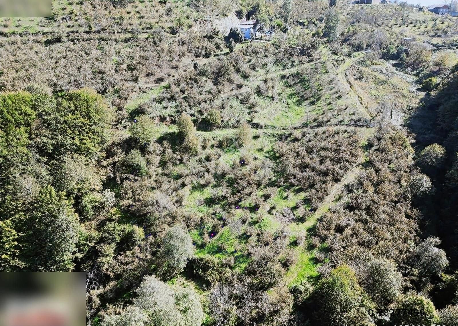 Atakum Kayagüneyde Satılık 6 Dönüm Tarla - Görsel 8