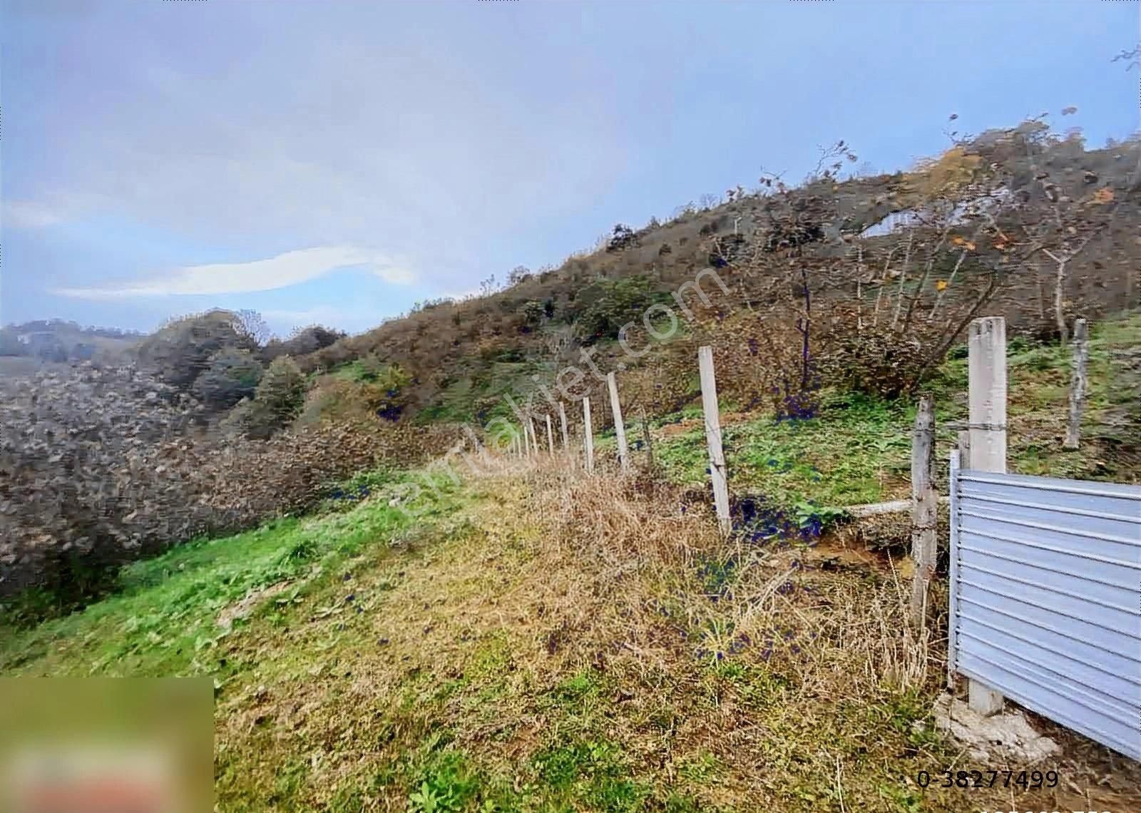 Atakum Kayagüneyde Satılık 6 Dönüm Tarla - Görsel 11