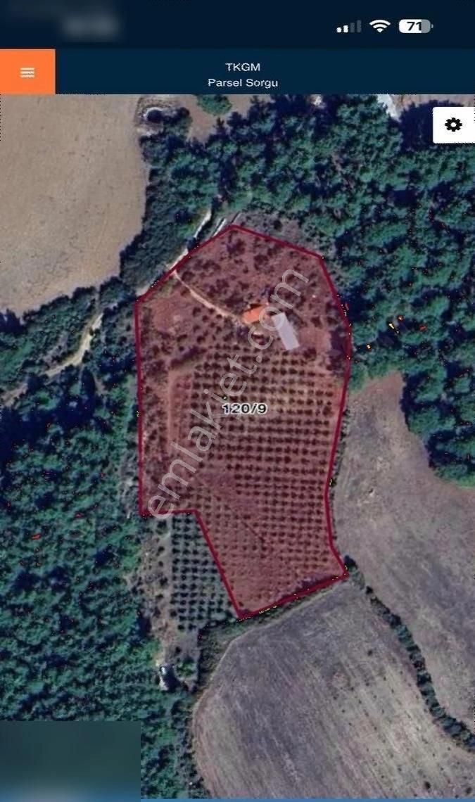 Çanakkale Bayramiç Ev Ve Satılık Meyve Bahçesi - Görsel 2