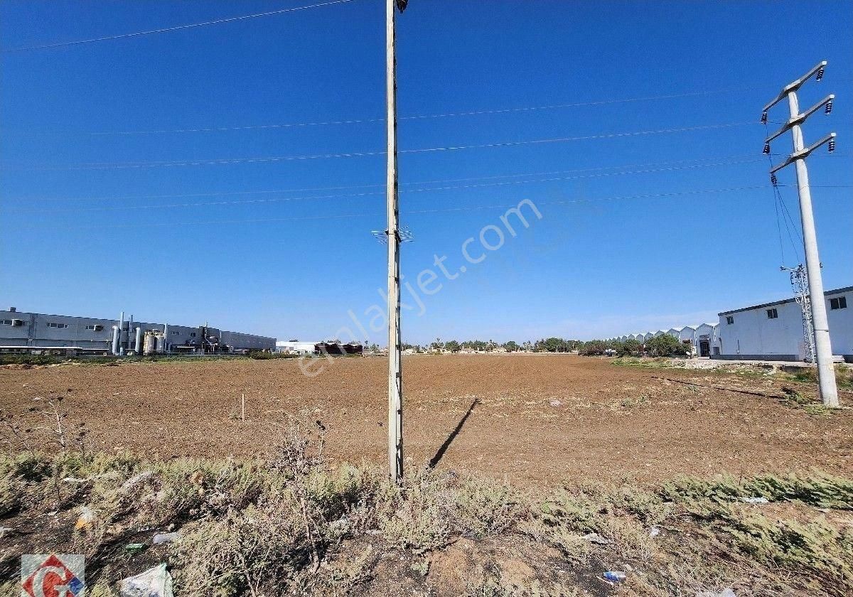 Görgün'den İncirlik'te Girne Bulvarı Cepheli 60.000m2 Satılık İmarlı Arsa - Görsel 5