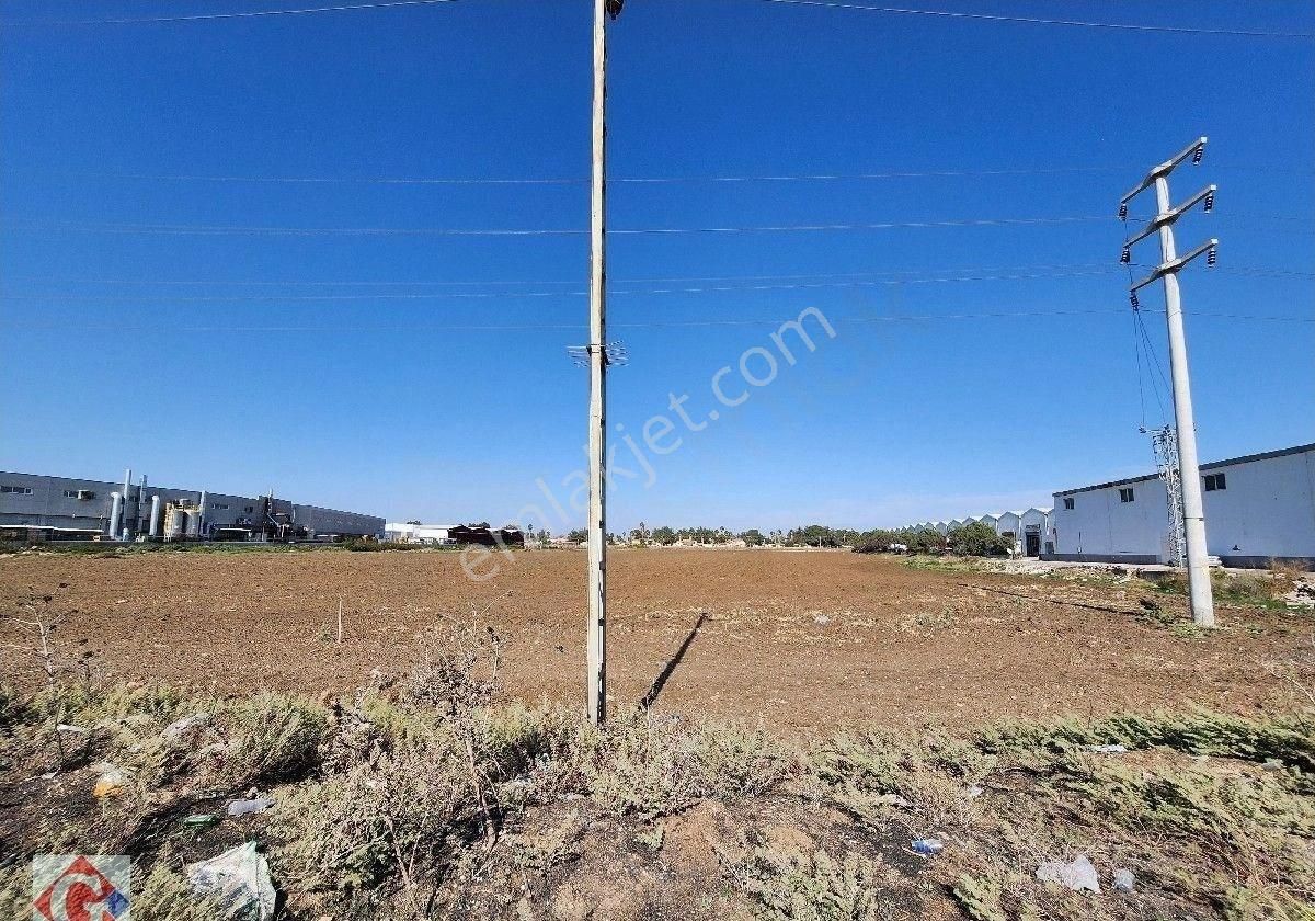 Görgün'den İncirlik'te Girne Bulvarı Cepheli 60.000m2 Satılık İmarlı Arsa - Görsel 11