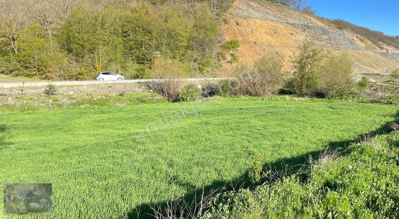 Doğa City'den Satılık Bilecik Söğüt Oluklu'da 1.565 M2 Tarla - Görsel 3