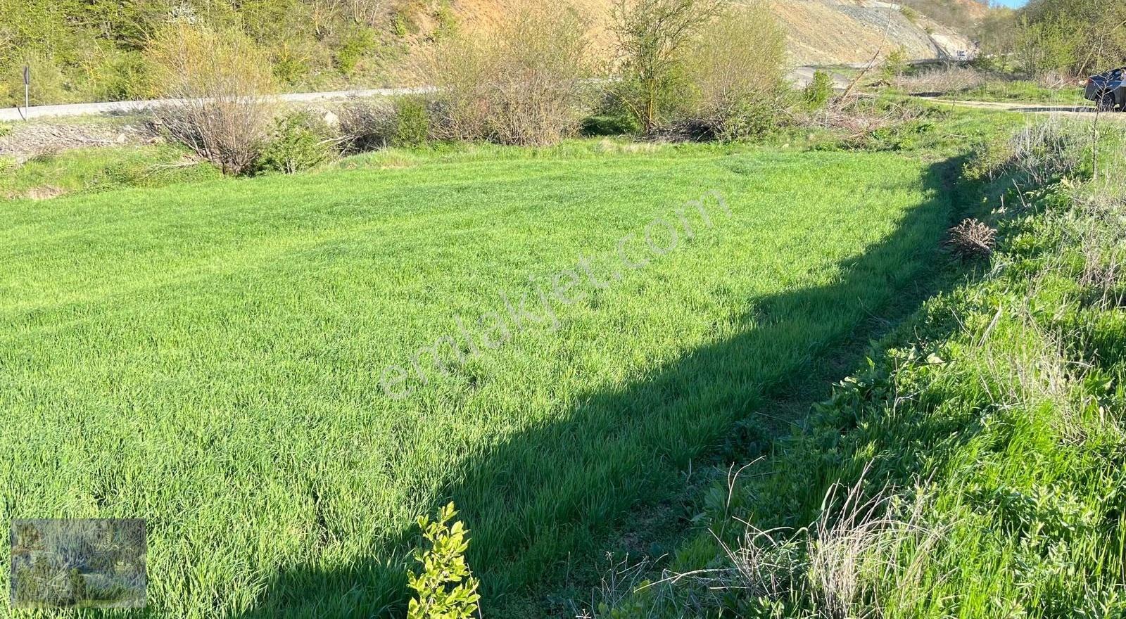 Doğa City'den Satılık Bilecik Söğüt Oluklu'da 1.565 M2 Tarla - Görsel 5