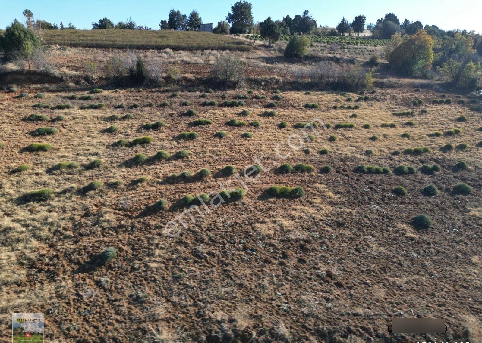 Afyon Dazkırında Üzerindeki Ürün Fiyatına Satılık 2.541 M2 Arazi - Görsel 18