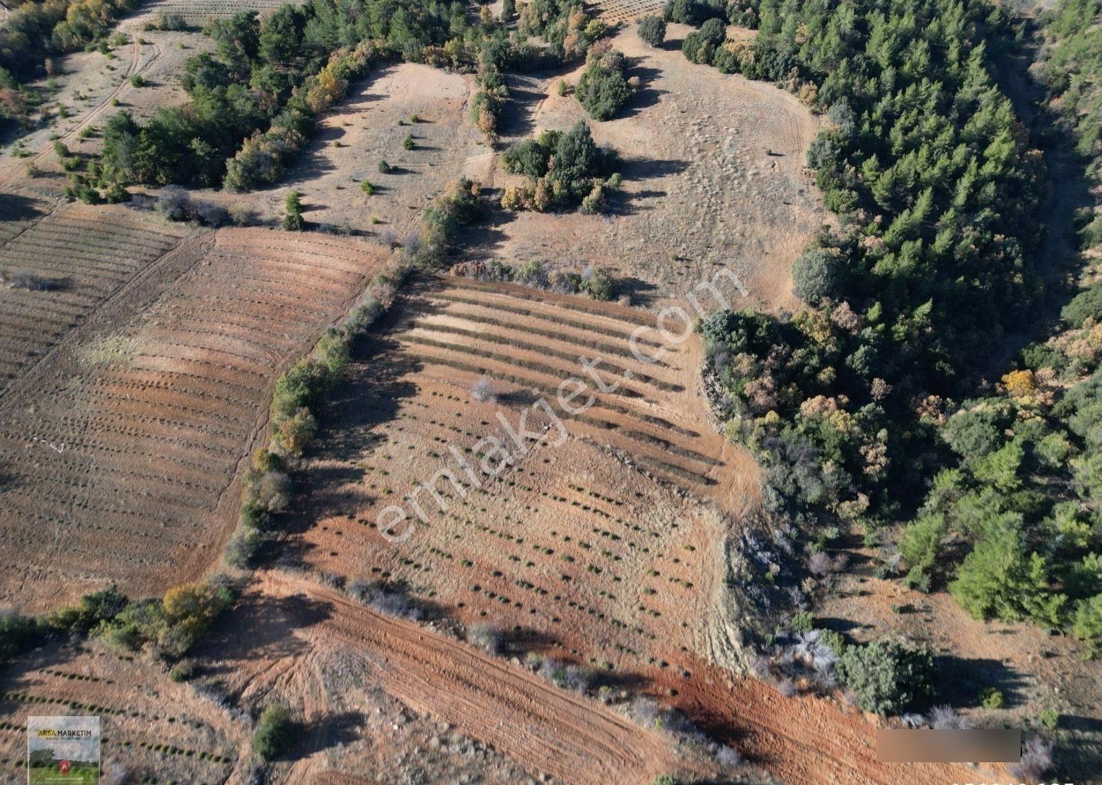 Afyon Dazkırında Üzerindeki Ürün Fiyatına Satılık 2.541 M2 Arazi - Görsel 26