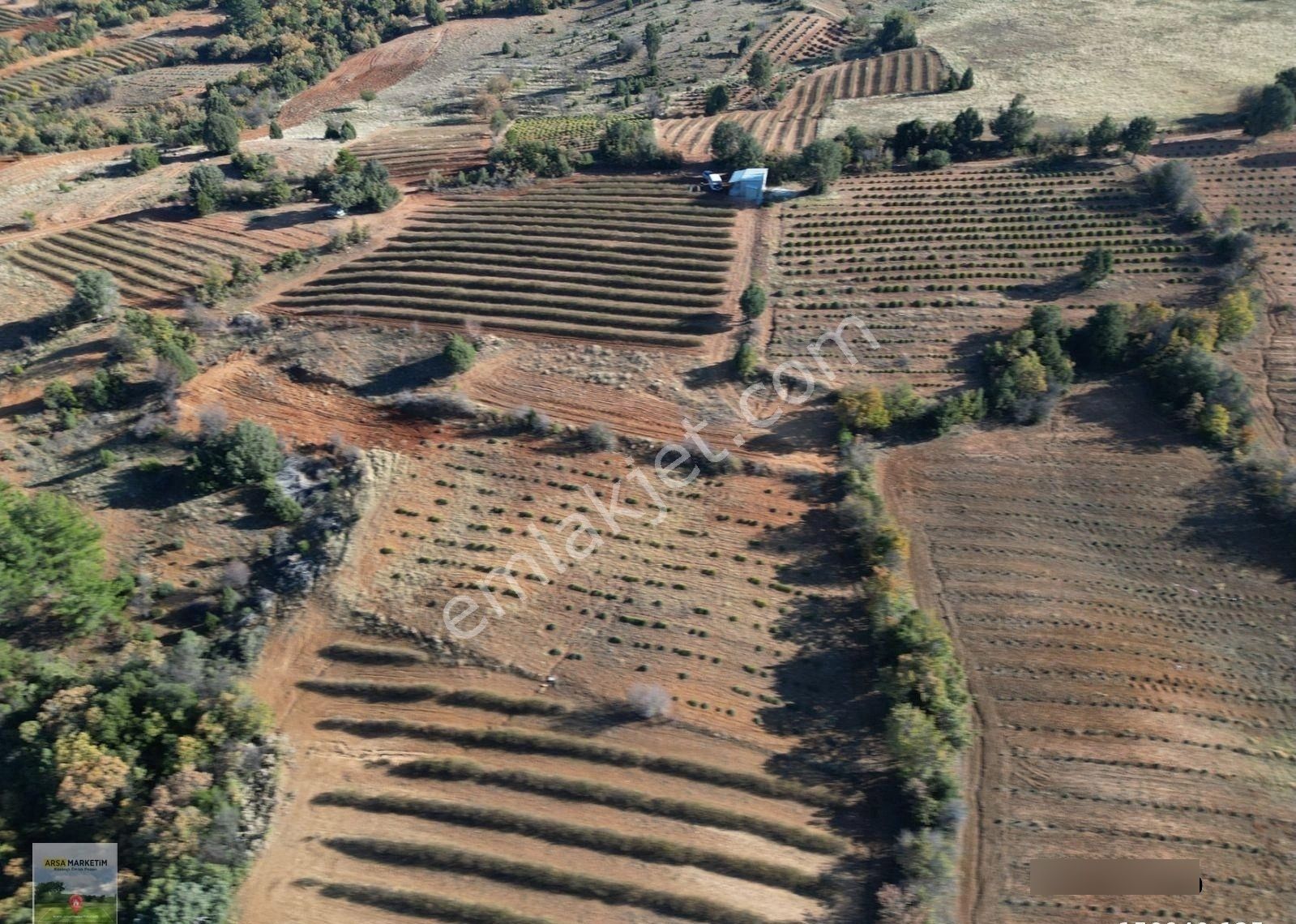 Afyon Dazkırında Üzerindeki Ürün Fiyatına Satılık 2.541 M2 Arazi - Görsel 27