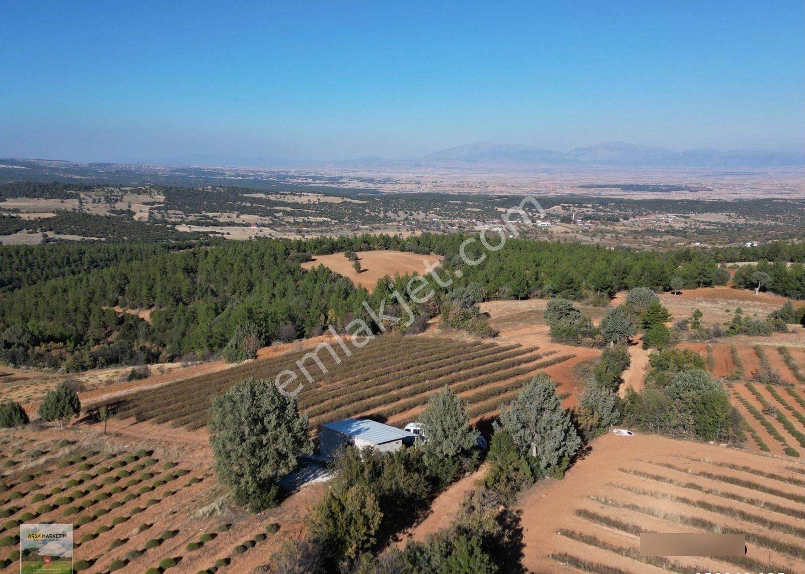 Afyon Dazkırında Üzerindeki Ürün Fiyatına Satılık 2.541 M2 Arazi - Görsel 7