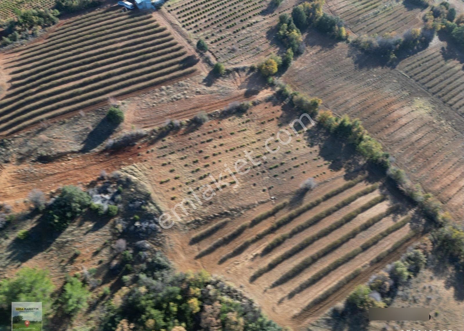 Afyon Dazkırında Üzerindeki Ürün Fiyatına Satılık 2.541 M2 Arazi - Görsel 8