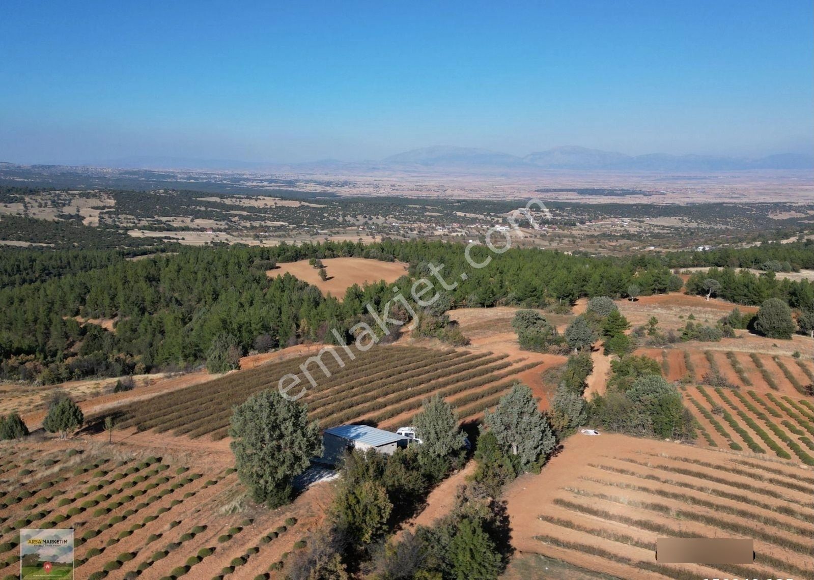 Afyon Dazkırında Üzerindeki Ürün Fiyatına Satılık 2.541 M2 Arazi - Görsel 17