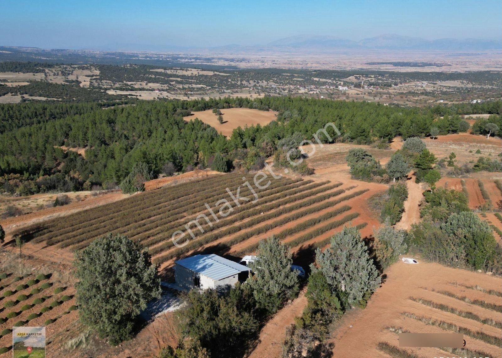 Afyon Dazkırında Üzerindeki Ürün Fiyatına Satılık 2.541 M2 Arazi - Görsel 16