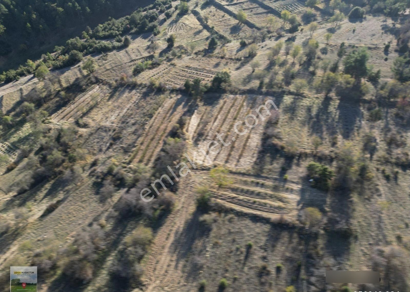 Afyon Dazkırında Hazır Ekili Gül Bahçesi 2.046 M2 - Görsel 14