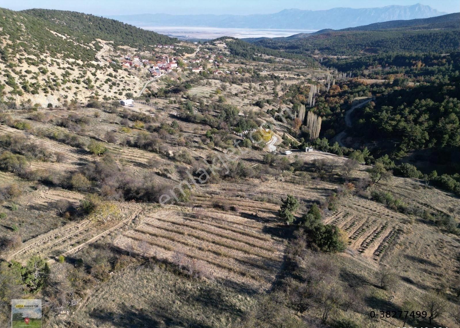 Afyon Dazkırında Hazır Ekili Gül Bahçesi 2.046 M2
