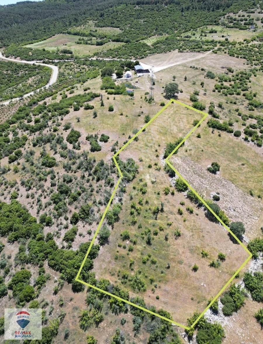 Denizli Çalçakırlar Mh 3.592 M2 Asfalt'a Paralel Satılık Tarla - Görsel 3