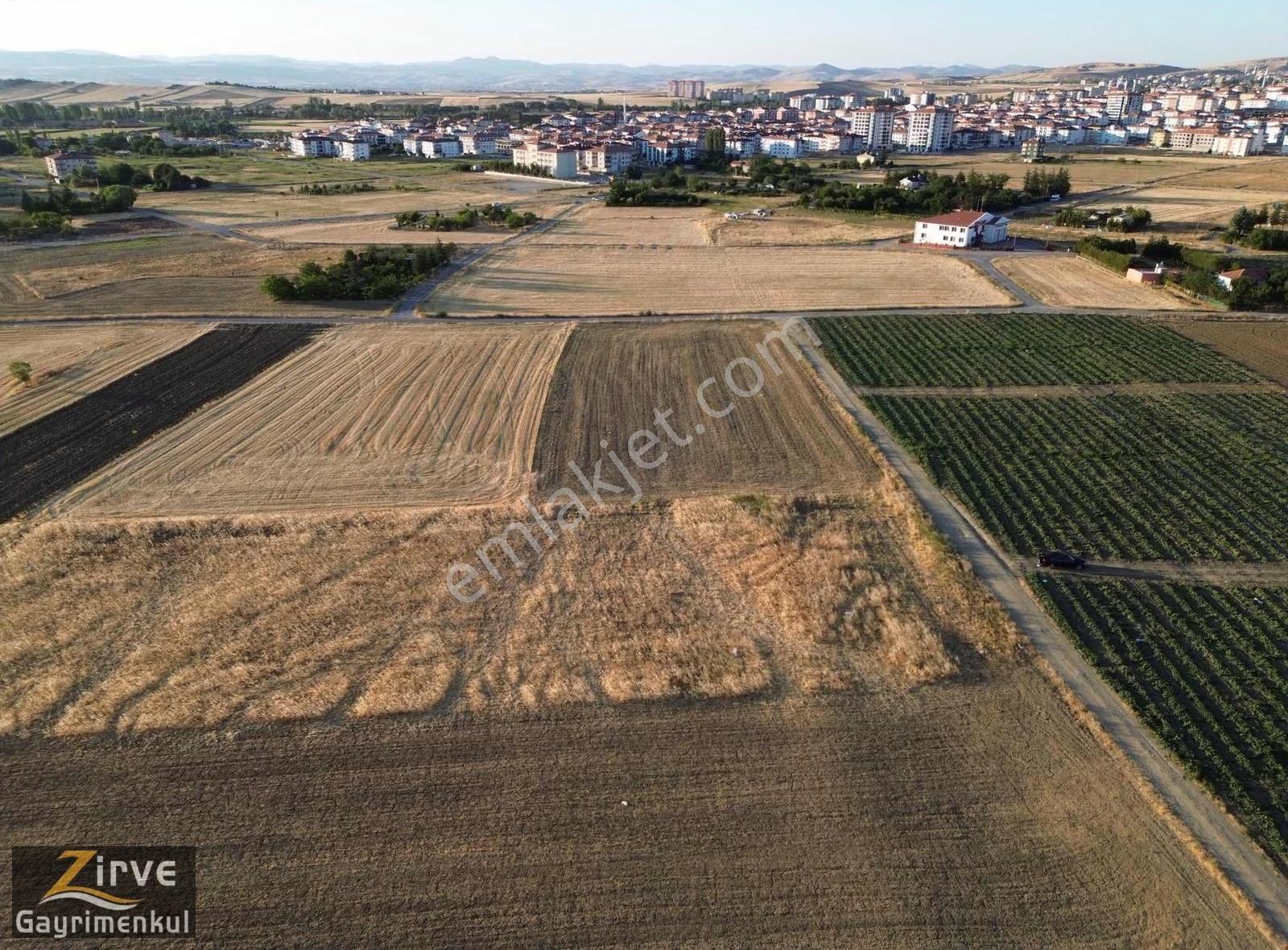 Zirve'den Tek Tapu Timurhan Mahallesi İmara Sınır 2940metretarla